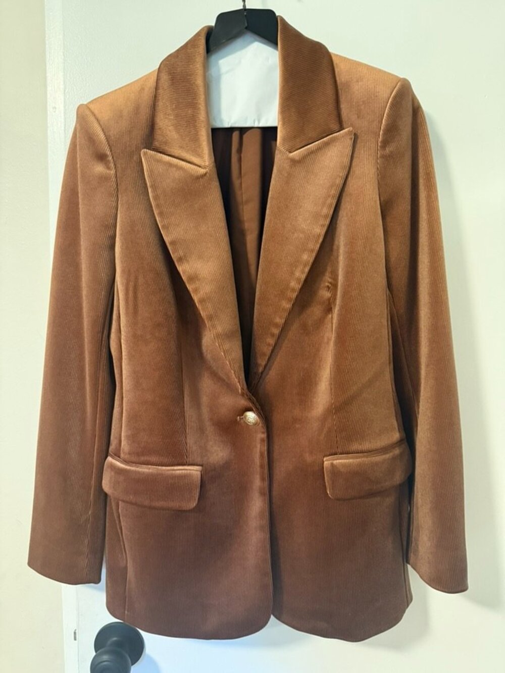 Express Velvet Corduroy One Button Blazer - Like New - Upgraded Button